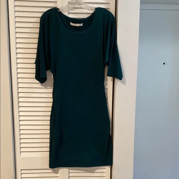 Susana Monaco | Dresses | Susana Monaco Green Sheath Dress With Dolman  Sleeves | Poshmark